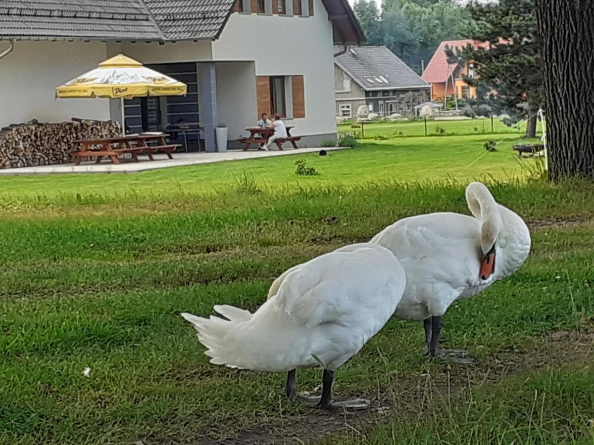 Agroturystyka Aura Kostrzyca Exteriör bild