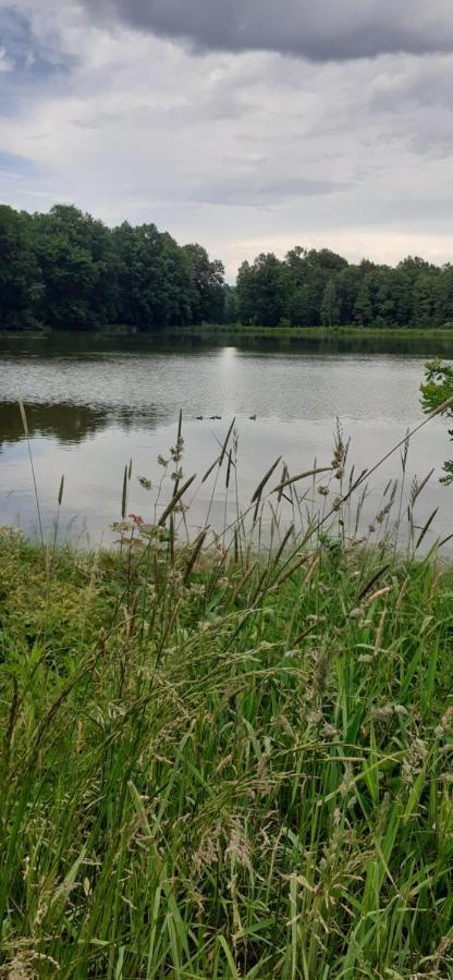 Agroturystyka Aura Kostrzyca Exteriör bild