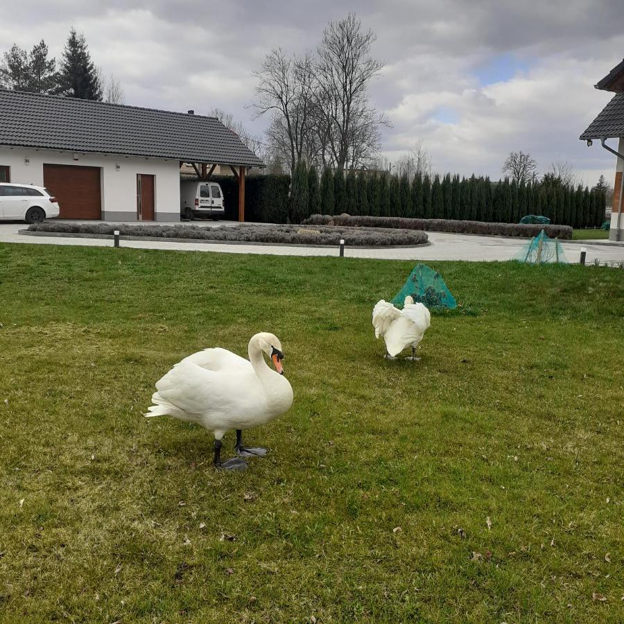 Agroturystyka Aura Kostrzyca Exteriör bild