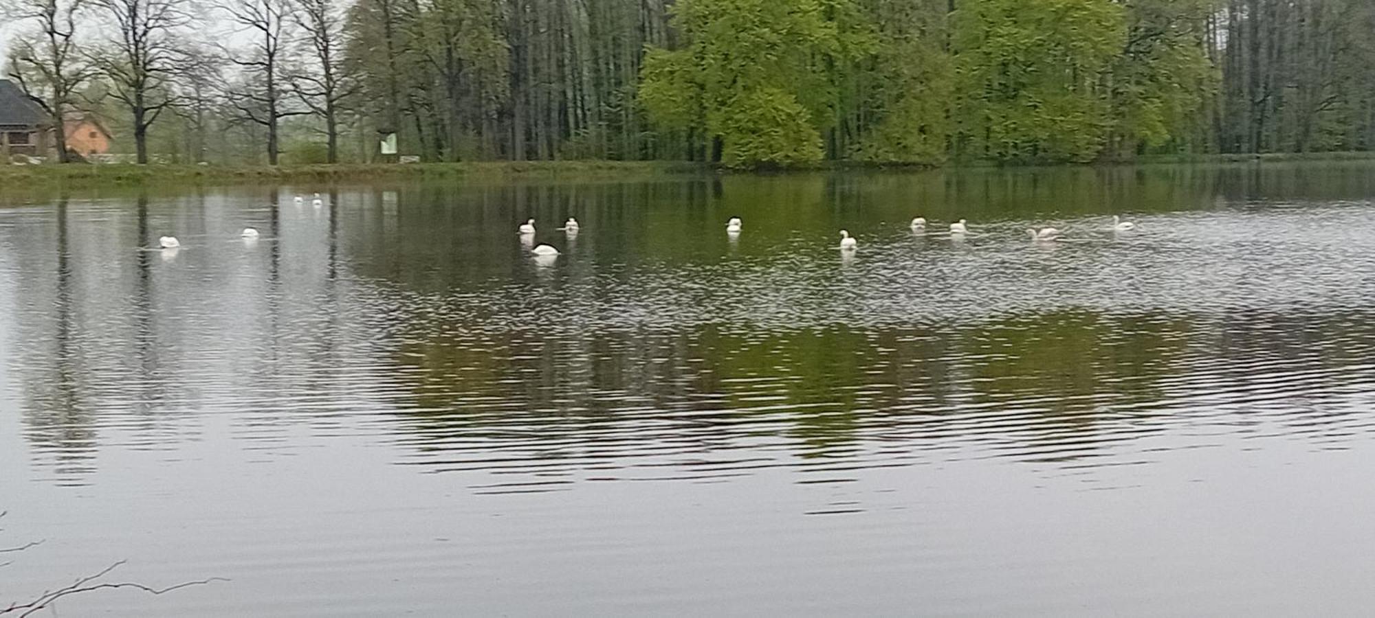 Agroturystyka Aura Kostrzyca Exteriör bild